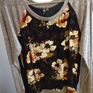 Kut From the Kloth Top